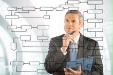 Organization and Process Management